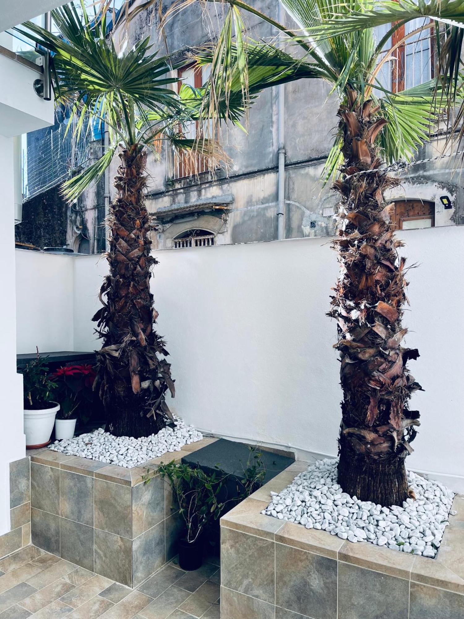 King House Catania Hostel Ostello Exterior foto